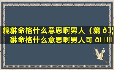 貔貅命格什么意思啊男人（貔 🦢 貅命格什么意思啊男人可 🐞 以戴吗）